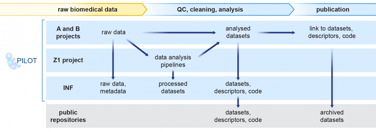 Graphical abstract for Project INF