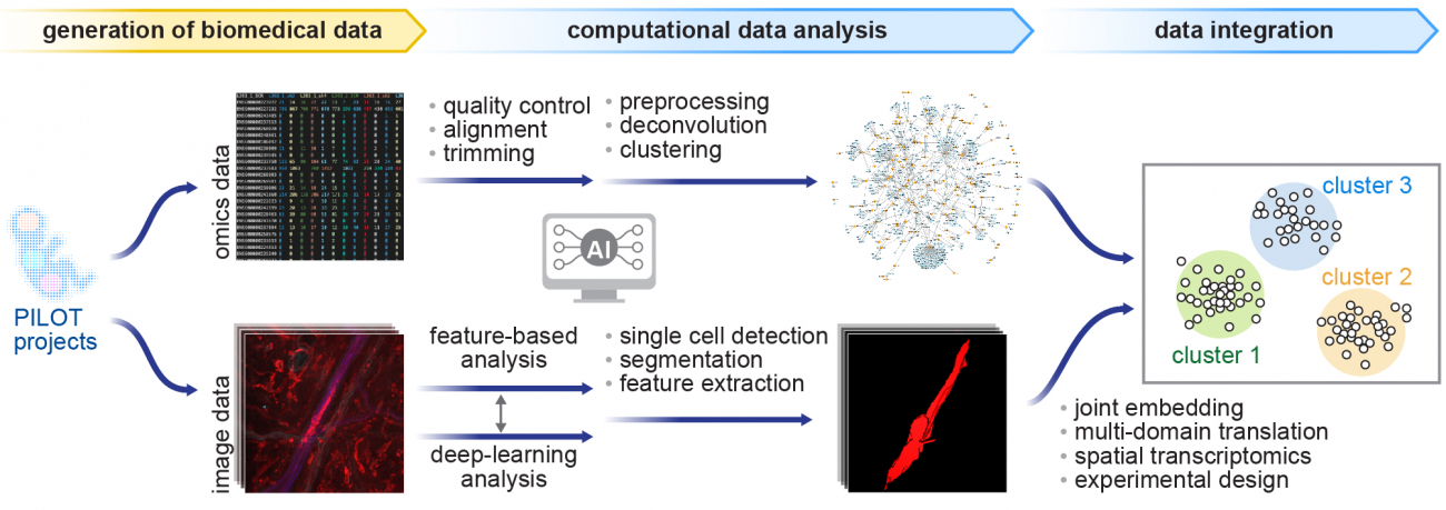 Graphical abstract for Project Z01